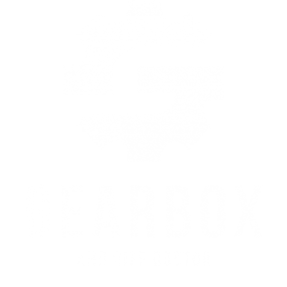 Gearbox and Diff Doctor Your Diff Specialist